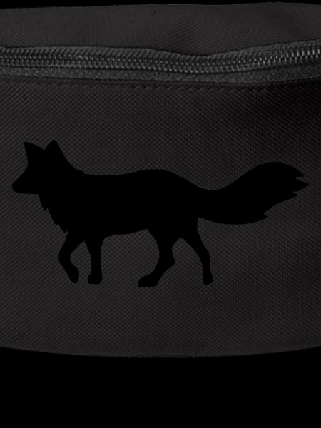 Fox Fox Renard