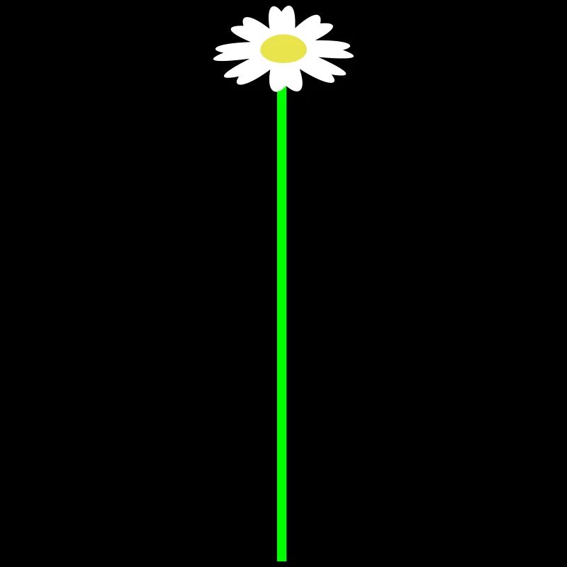 Small Marguerite Flower White Decorative Beautiful Nature