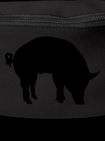 pig