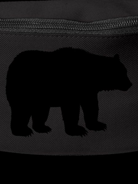 bear animal