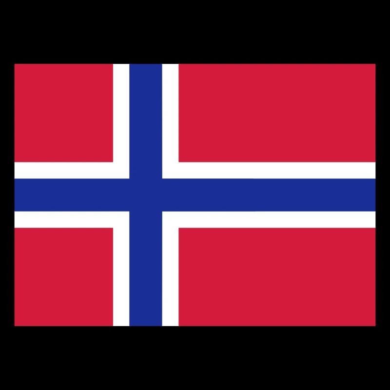 Norway flag