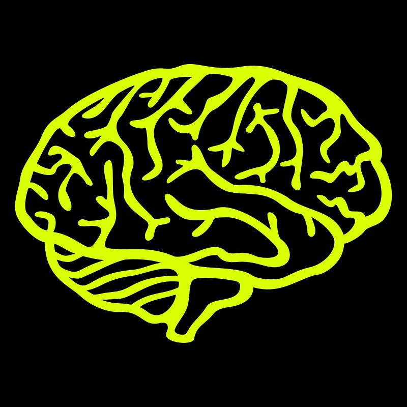 Brain