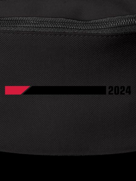 2024 year