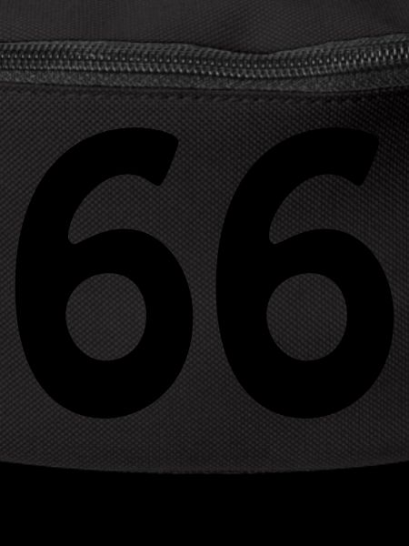 66