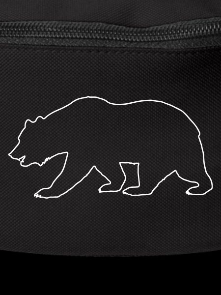 Bear Drawing