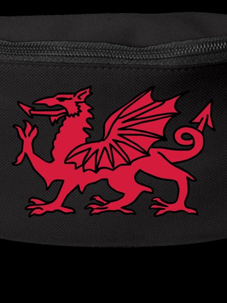 Welsh Dragon