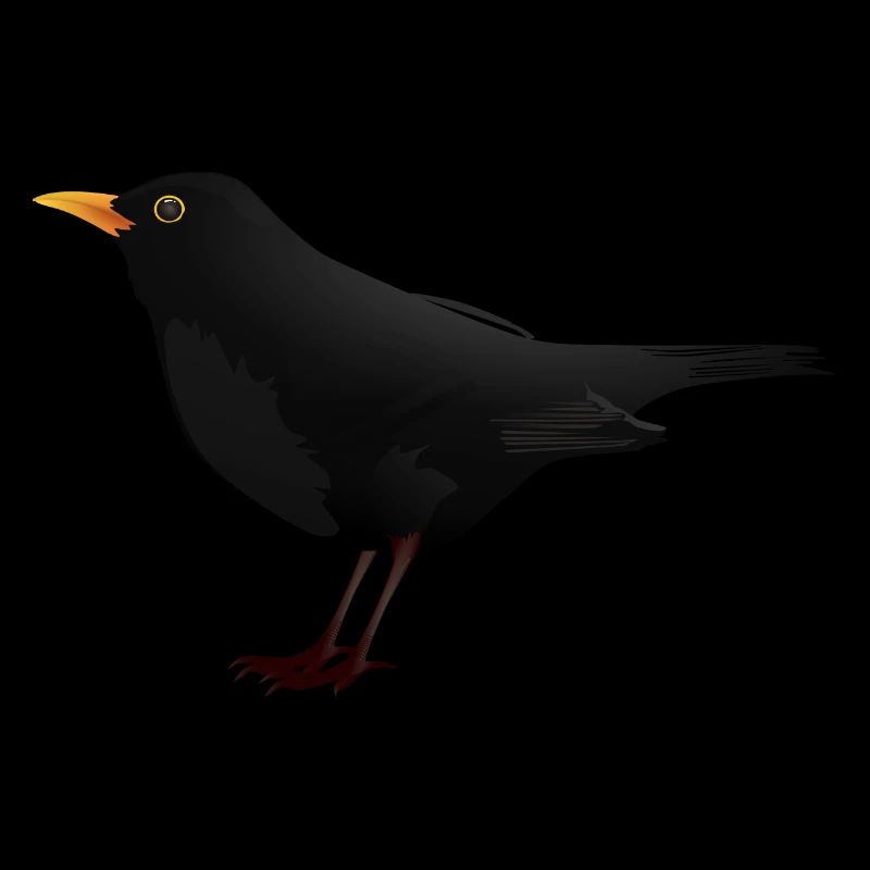 Amsel Drossel Star Vogel Geschenk Geschenkidee