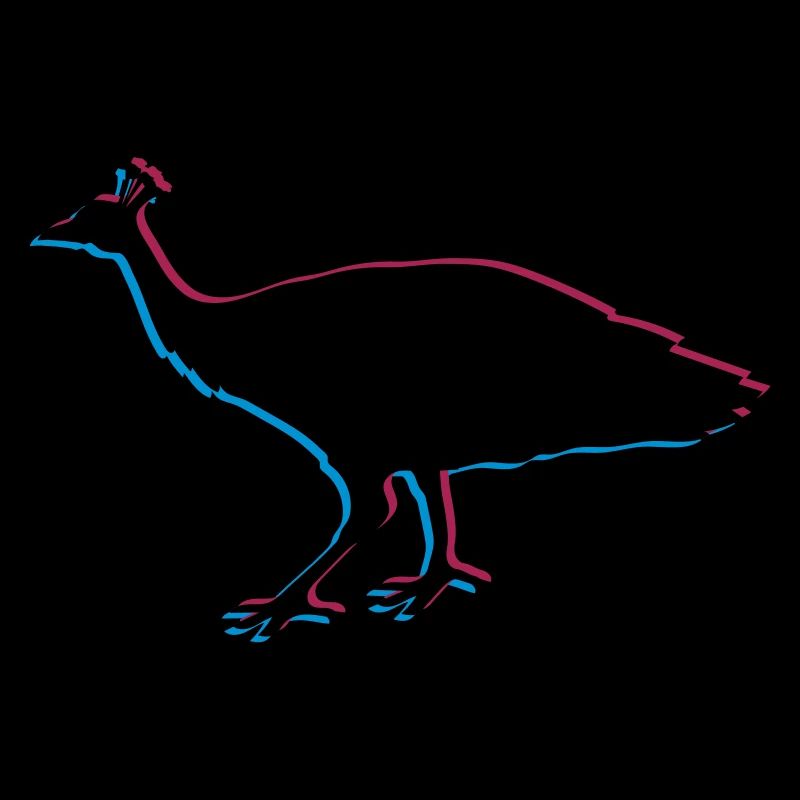 3d bird silhouette outline shadow peacock pheasant feather
