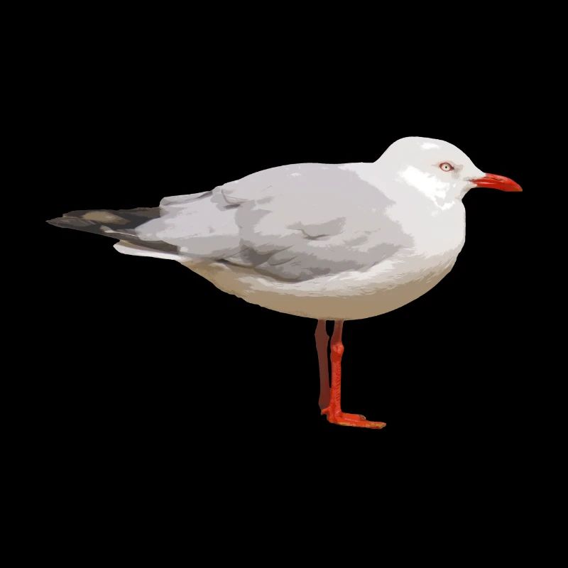 Mouette