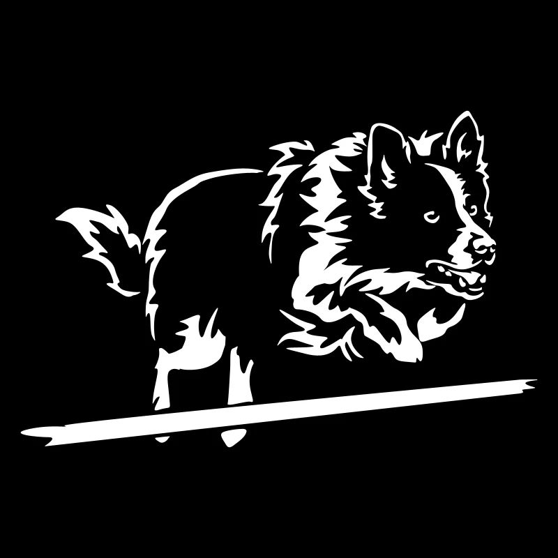 Border Collie "Black Edition"