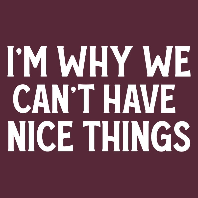 I'm Why We Can't Have Nice Things Funny Sarcastic