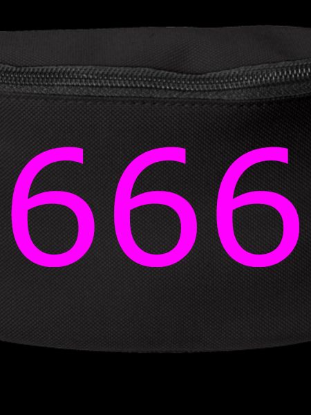 666