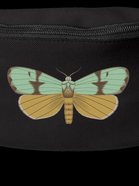 Butterfly 115
