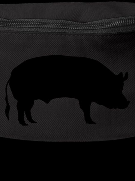 Pig / sow
