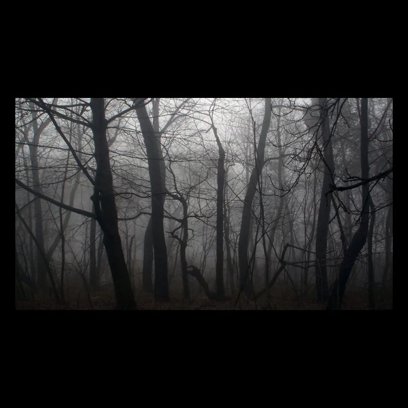 Wald