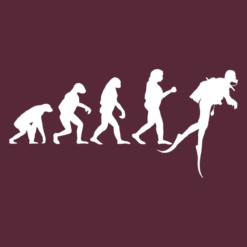 Plongée Evolution Plongeur Plongée Eau Drôle