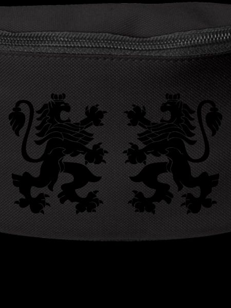 Lions
