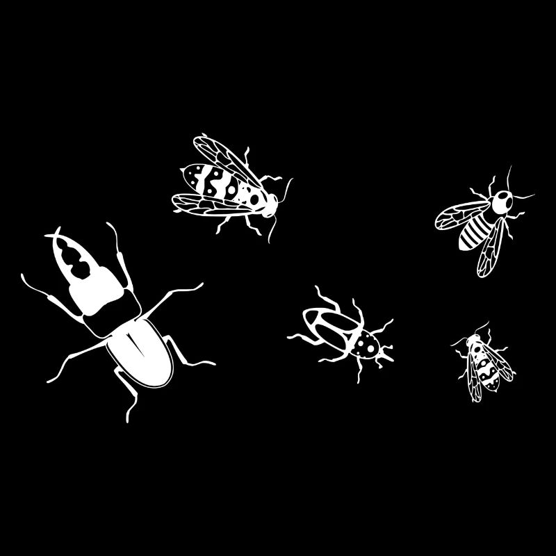 Insectes