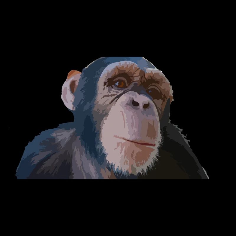 Singe mignon