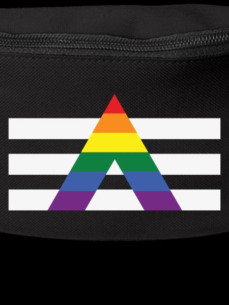 Ally Pride Flag