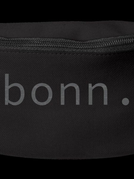 bonn.
