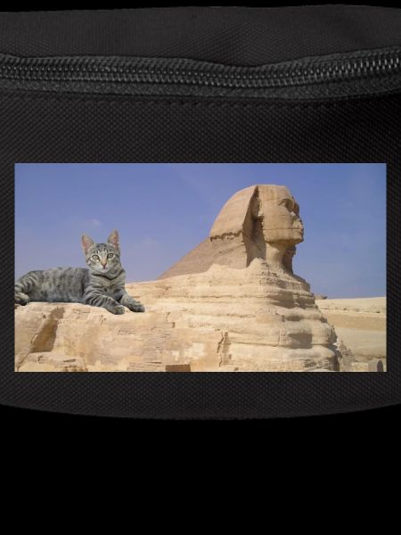 Cat and Sphinx