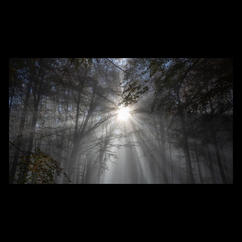 Saison du silence