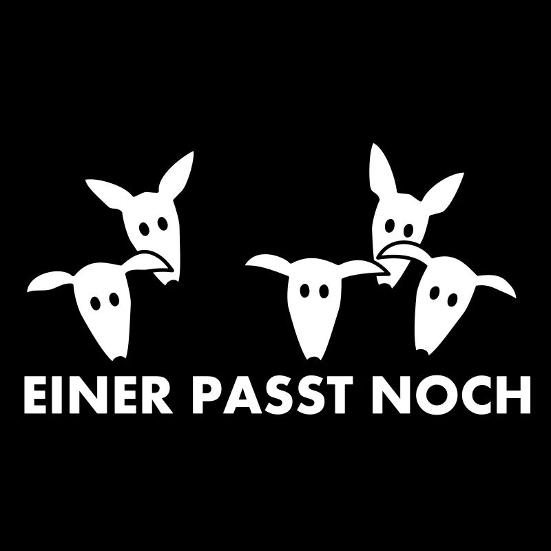 Einer paßt noch - Podenco und Galgo