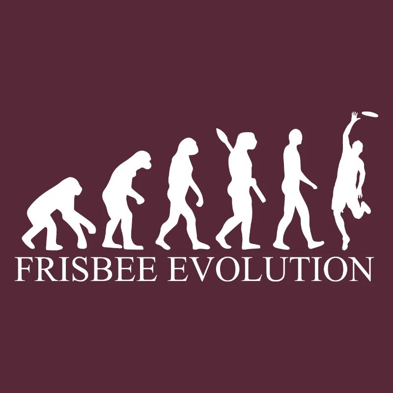 Evolution du frisbee