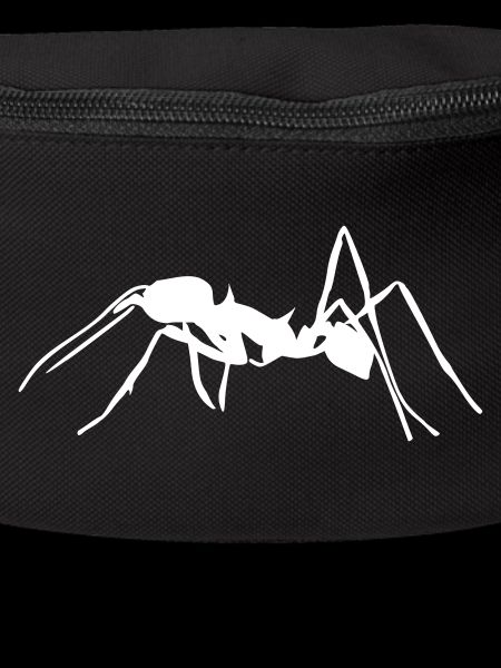 Ant