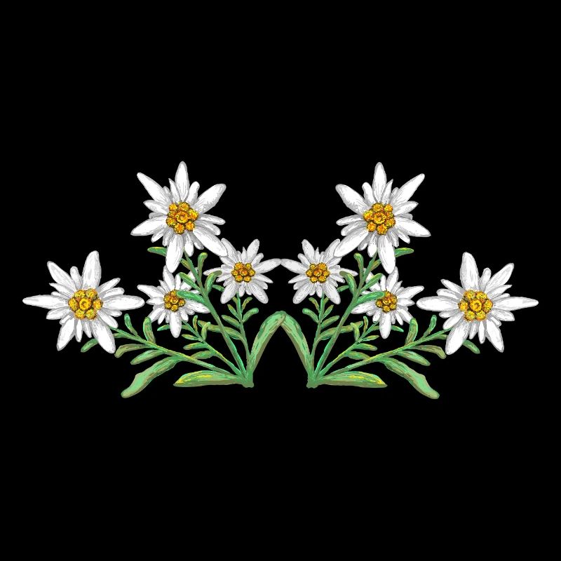Edelweiss