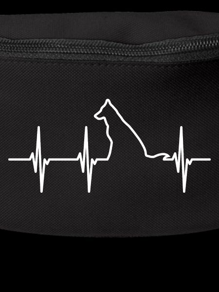 Ligne d’ECG pour chiens