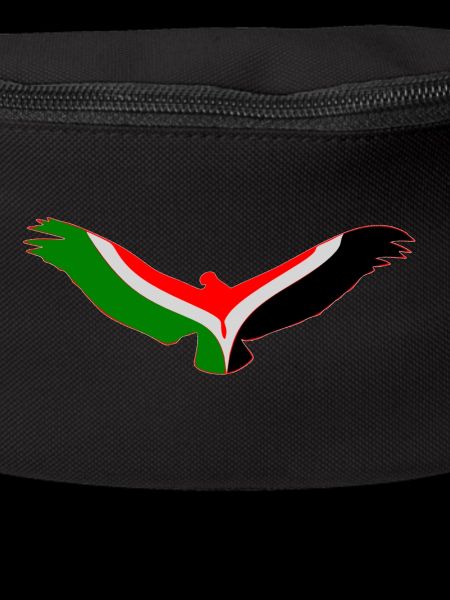 Eagle of Palestine.