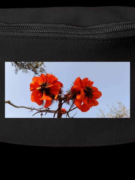 Fleurs canariennes