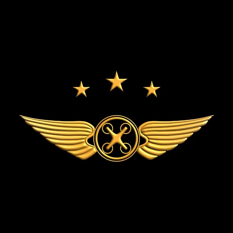 Drone Pilot Drone Fly Drone Pilot