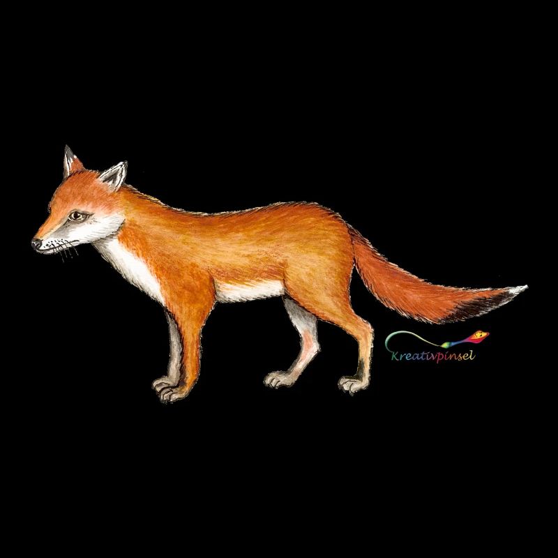 Fuchs (Vulpes vulpes)
