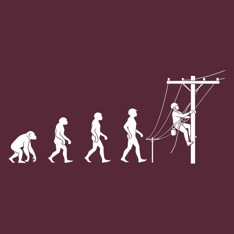 Evolution zur Netztechnik