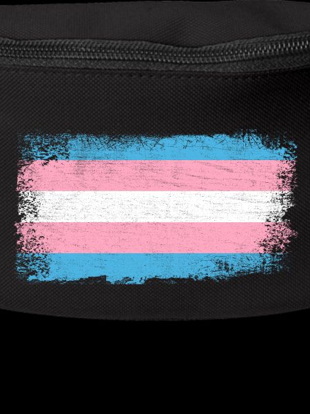Transgender Flag