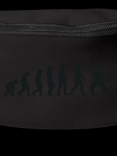 Evolution of Karate