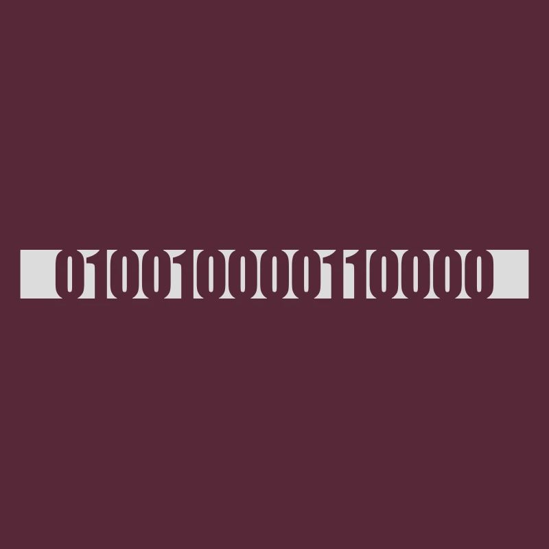 Langage de programme de code binaire