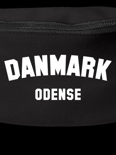 ODENSE Denmark Dänemark