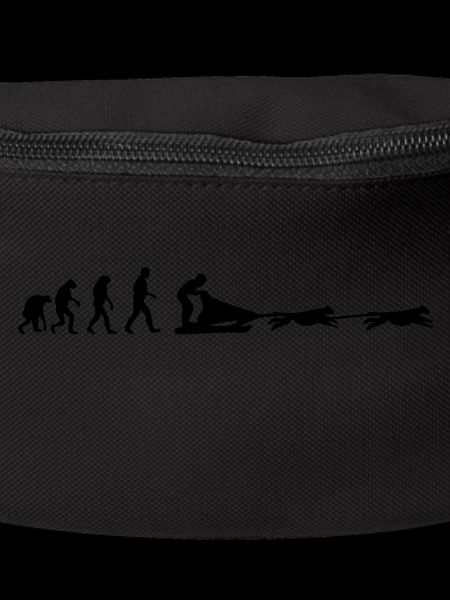dog sledge evolution
