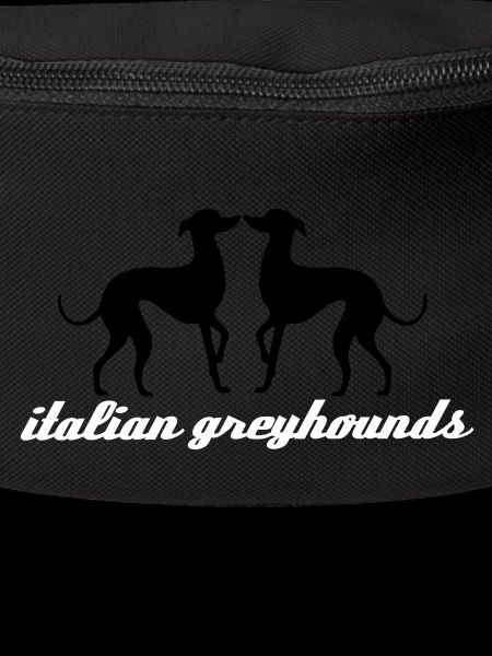 Italian Greyhound