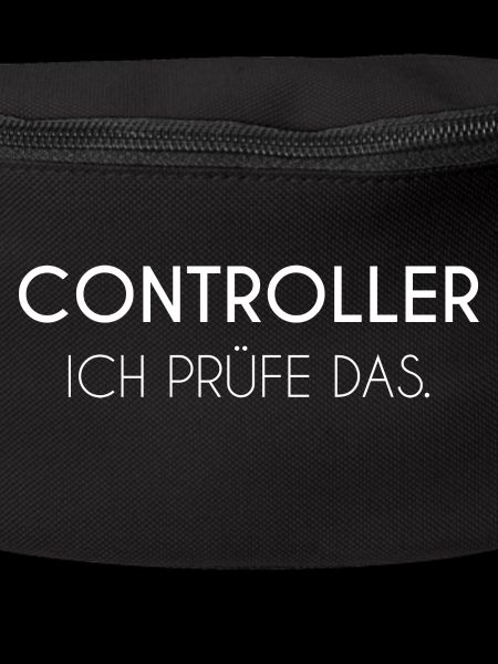 Controller Buchhaltung