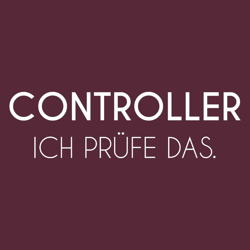 Controller Buchhaltung