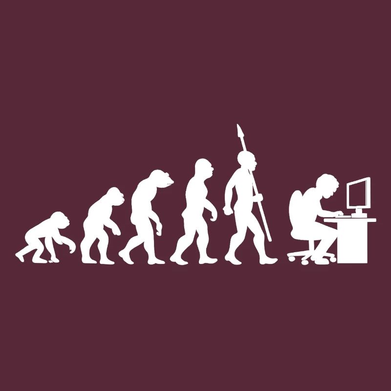 Informatique PC Evolution Programmeur Informatien