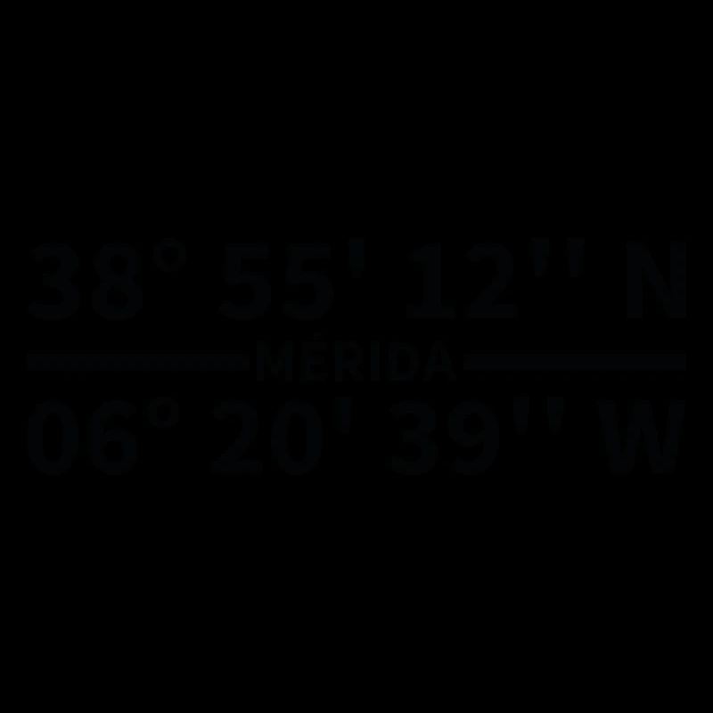 Mérida Coordinates