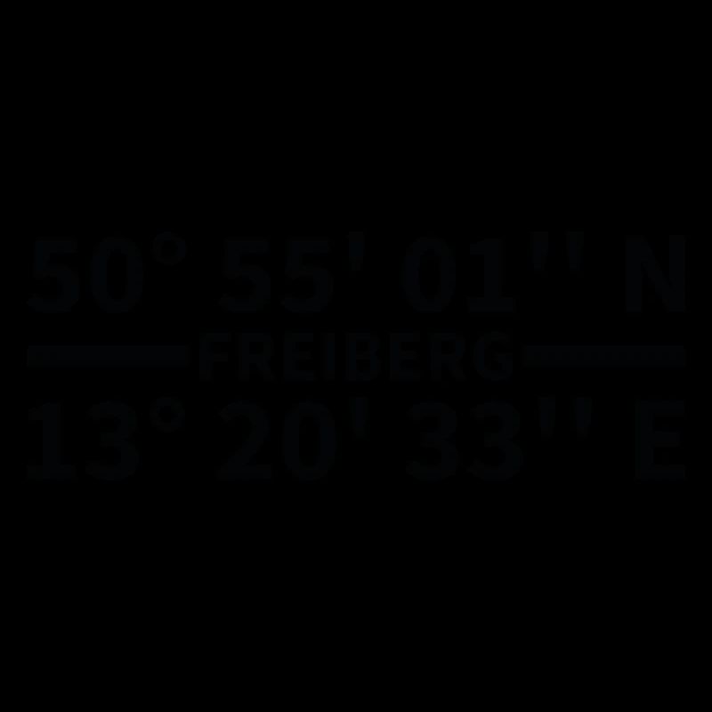 Freiberg Coordinates
