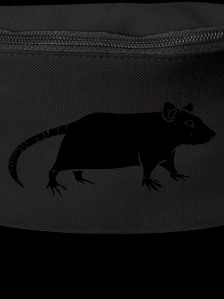 rat