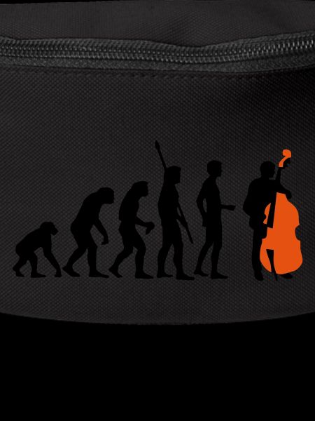 evolution_bass_2c